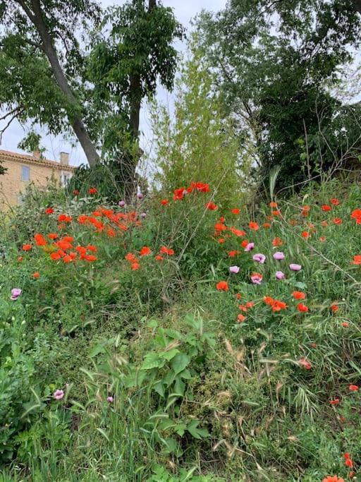 Gite Calme Et Cosy D' Eole Cornillon-Confoux Exterior photo